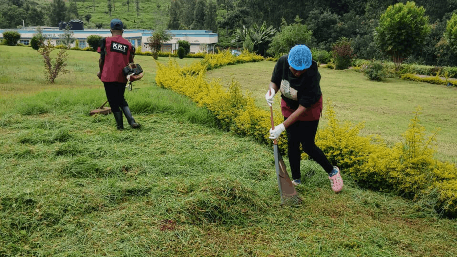 Gardening and landscaping